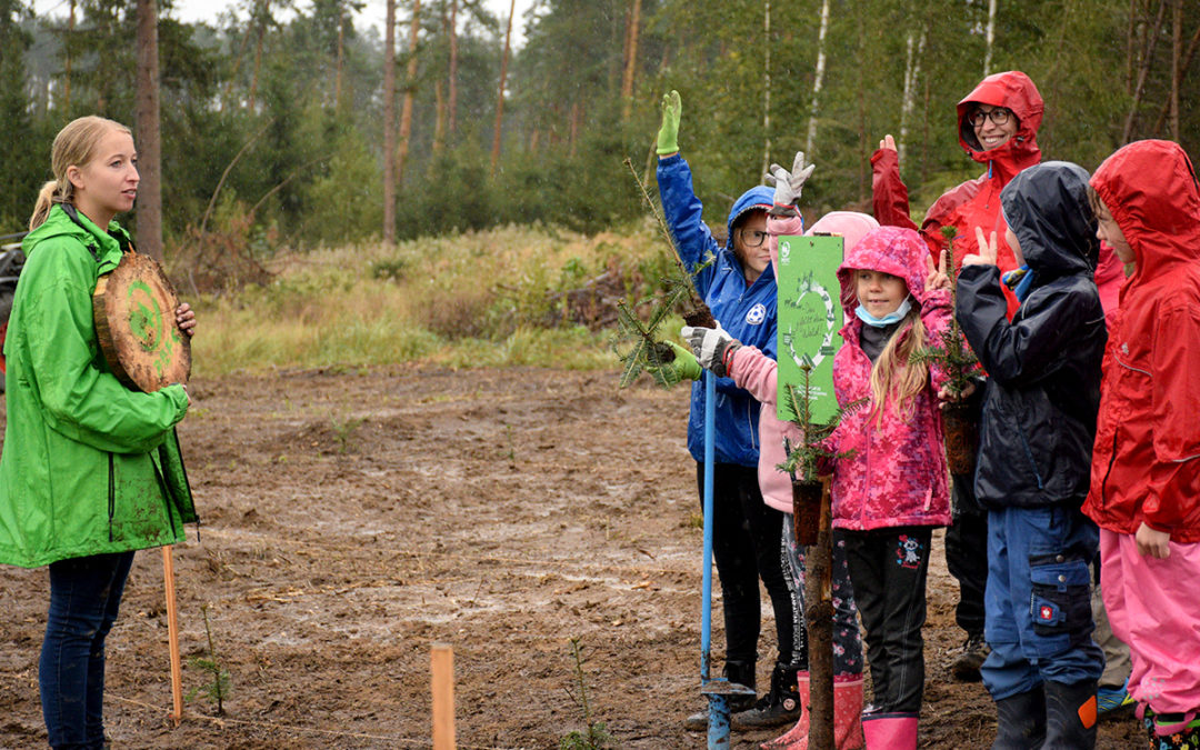 60000-baueme-fuer-den-zukunftswald-pefc-schueler-im-wald-beim-baumpflanzen